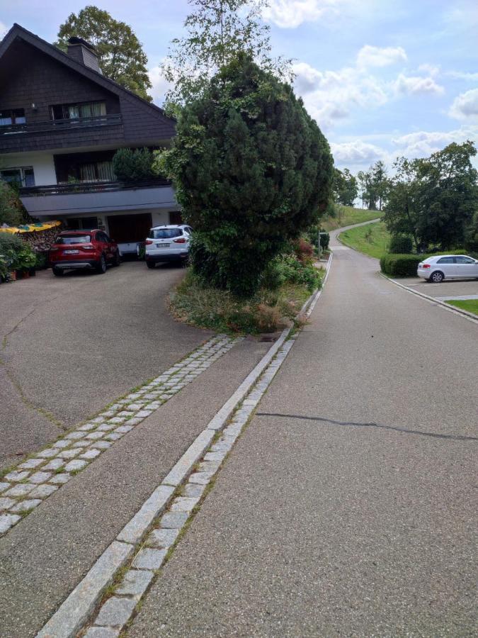 Feldbergsicht Lägenhet Lenzkirch Exteriör bild