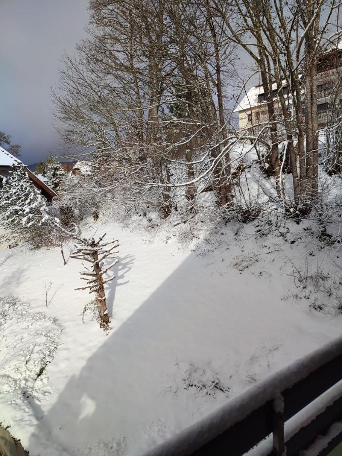 Feldbergsicht Lägenhet Lenzkirch Exteriör bild