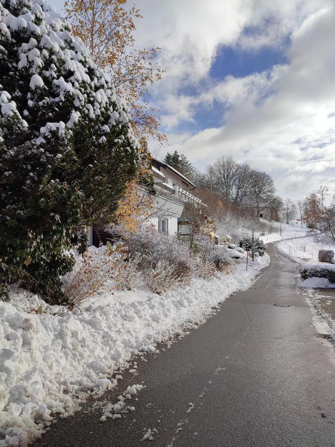 Feldbergsicht Lägenhet Lenzkirch Exteriör bild