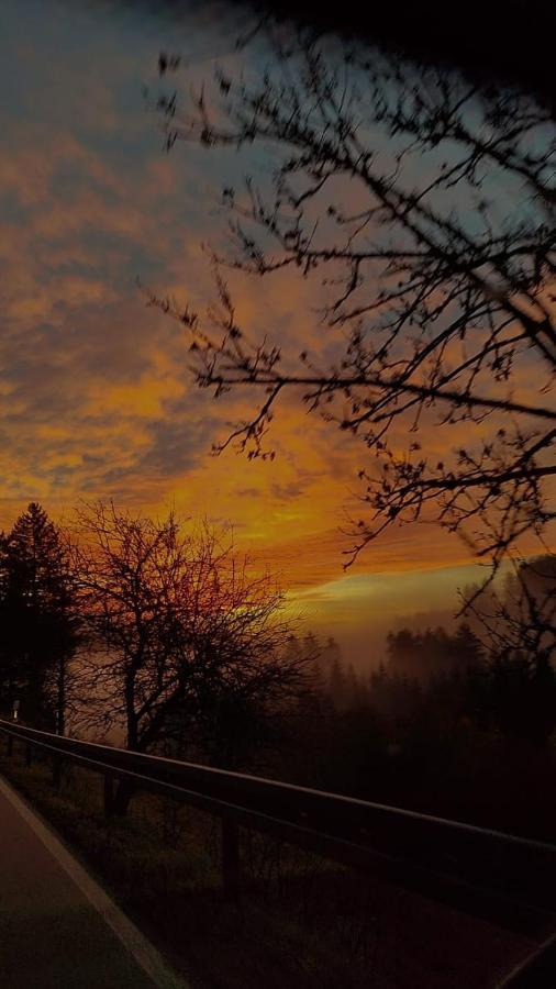 Feldbergsicht Lägenhet Lenzkirch Exteriör bild