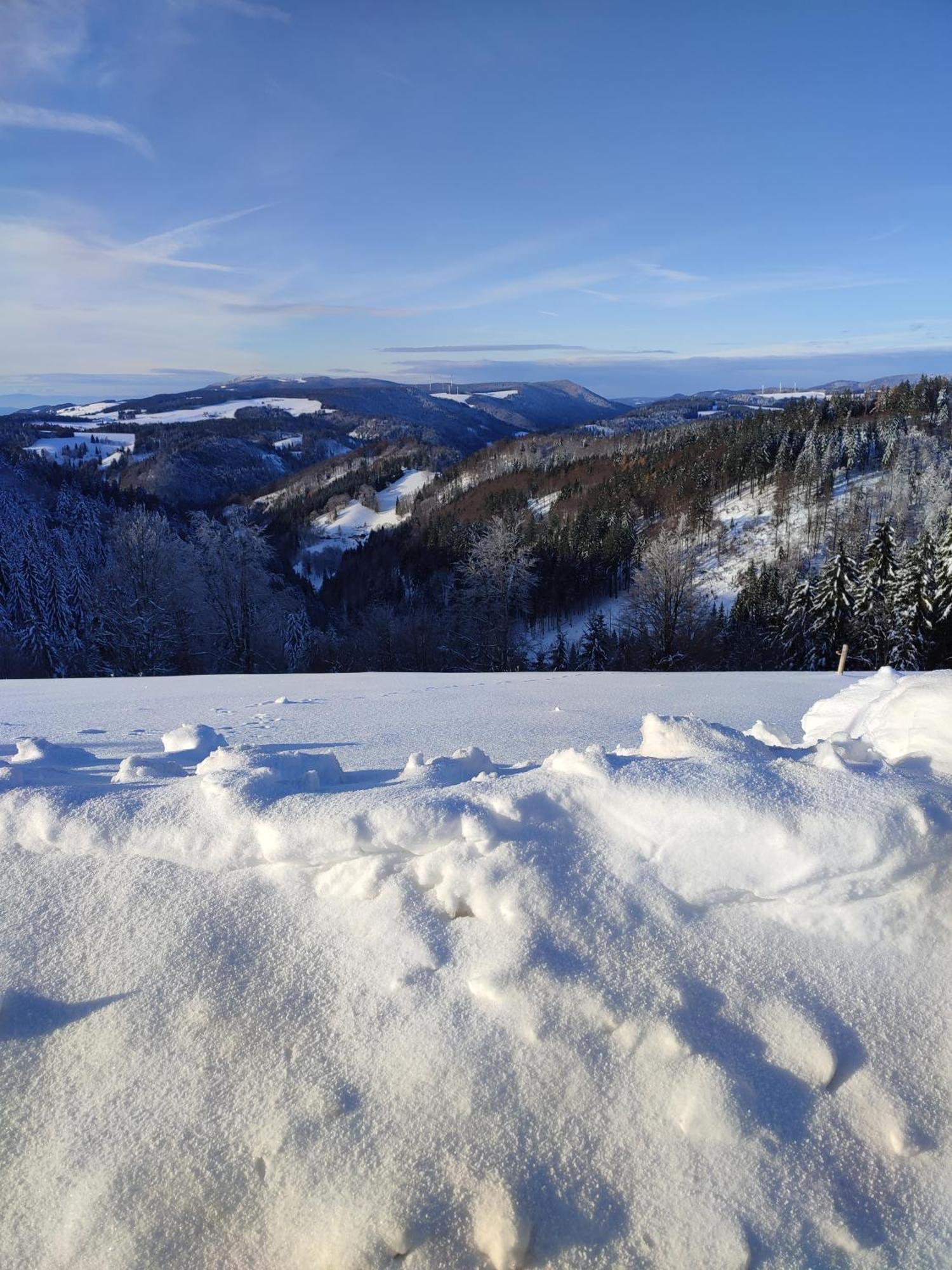 Feldbergsicht Lägenhet Lenzkirch Exteriör bild